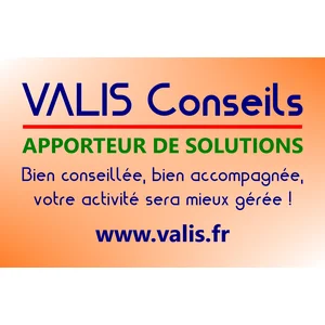 VALIS CONSEILS, APPORTEUR DE SOLUTIONS